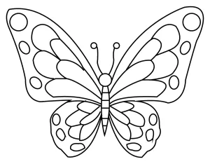 Beautiful Large Butterfly 🦋🌸✨