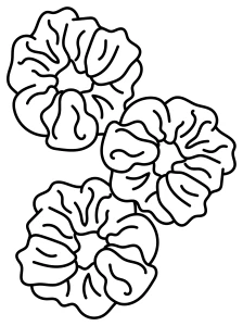 Hair Accessories Scrunchies for Kids 🎀🎀🎀