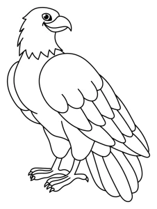 Majestic Eagle Sitting with Powerful Wings and Sharp Claws π¦
ππΏ