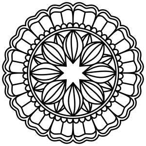 Mandala with Star Center and Petal Pattern 🌸✨🌟