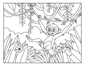 Monkey in Jungle 🐒🌿🍃