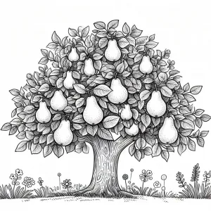 Pear 🍐 Tree in Summer with Pears 🌳🍐🌞