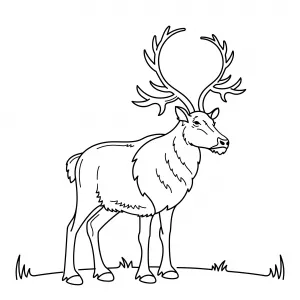 Reindeer Outdoors 🦌🏞️