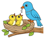 Adorable Bird Family in a Cozy Nest with Birds 🐦🐥🌿 Colored Example