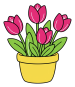 Adorable Tulips in a Pot with Green Leaves 🌷🌿🌱 Colored Example