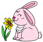 Bunny Sitting and Smelling Sunflower 🌻🐇🌞 Colored Example