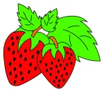 Delicious Juicy Strawberries with Green Leaves 🍓🌿🍃 Colored Example
