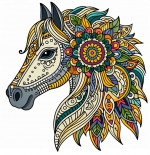 Horse Head Mandala Style 🐴🎨 Colored Example