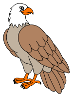 Majestic Eagle Sitting with Powerful Wings and Sharp Claws 🦅🌍🌿 Colored Example