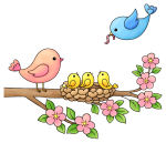 Mother and Father Bird Feeding Baby Birds on a Branch with Flowers 🐦🌸🌿 Colored Example