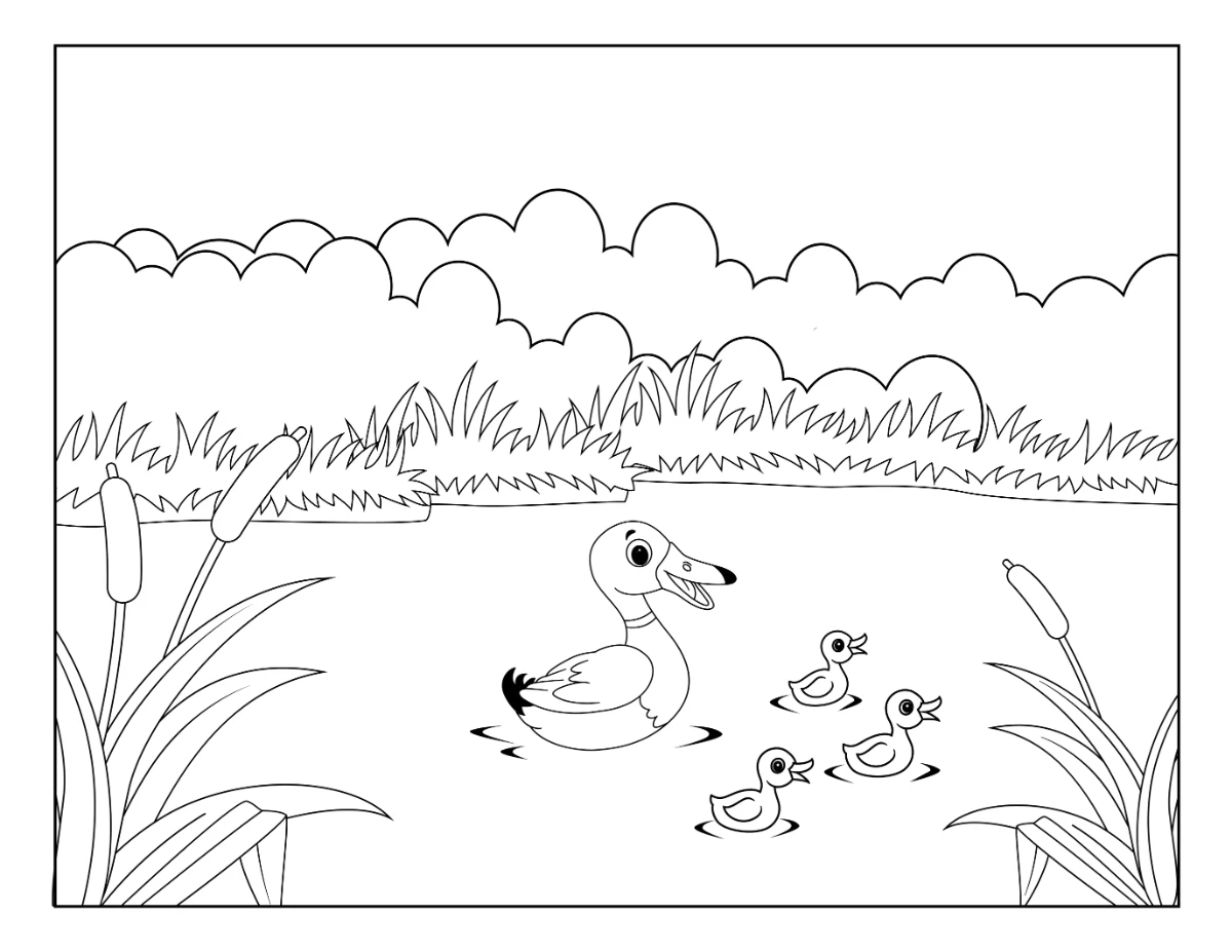Happy Mallard Duck with Ducklings Swimming Peacefully in a Pond 🦆💦🌿🐤🌥️ Coloring Page