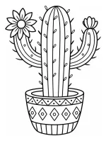 Adorable Cactus with Flowers in a Decorative Pot 🌵🌸