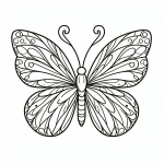 Butterfly 🦋