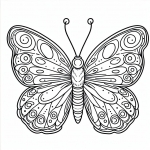 Butterfly 🦋
