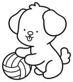 Cute Puppy Playing with a Ball 🐶🎾🐾