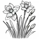 Daffodil Flower 🌼