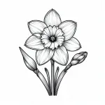 Daffodil Flower 🌼