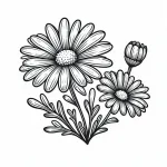 Daisy Flowers 🌼🍃