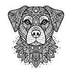 Dog Head Mandala Style 🐶🌸