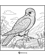 Falcon Bird Sitting and Landscape in the Background 🦅🏞️🌄