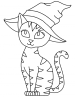 Halloween Cat Wearing Witch Hat 🧙‍♀️🐱🎃🐾