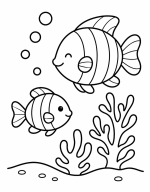 Happy Clown Fish Near Coral Reef 🐠🌊🐚