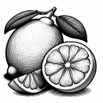 Lemon Cut in Pieces 🍋🔪