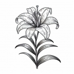 Lily Flower 🌸