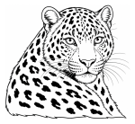 Majestic Leopard with Beautiful Spots 🐆🐾🌟