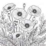 Poppy Flowers 🌺