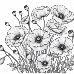 Poppy Flowers 🌺
