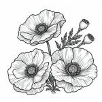 Poppy Flowers 🌺