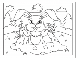 Rabbit Coming out of Rabbit Hole 🐰🌿🌞🌳
