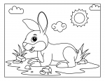 Rabbit Sitting on the Grass on a Sunny Day 🐰🌞🌱