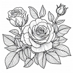 Rose Flowers 🌹