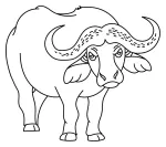 Strong Buffalo with Curved Horns and a Powerful Presence 🦬💪🌿