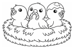 Three Baby Birds in a Nest with Open Beaks 🐦🐥🐣