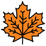 Fall